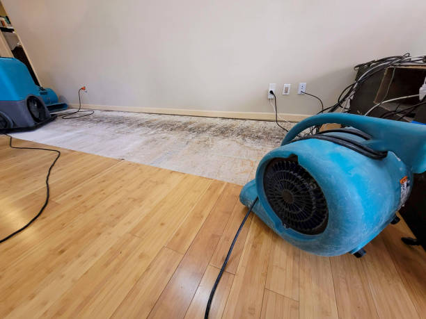 Professional Sewage Cleanup technician working in Florence, KY